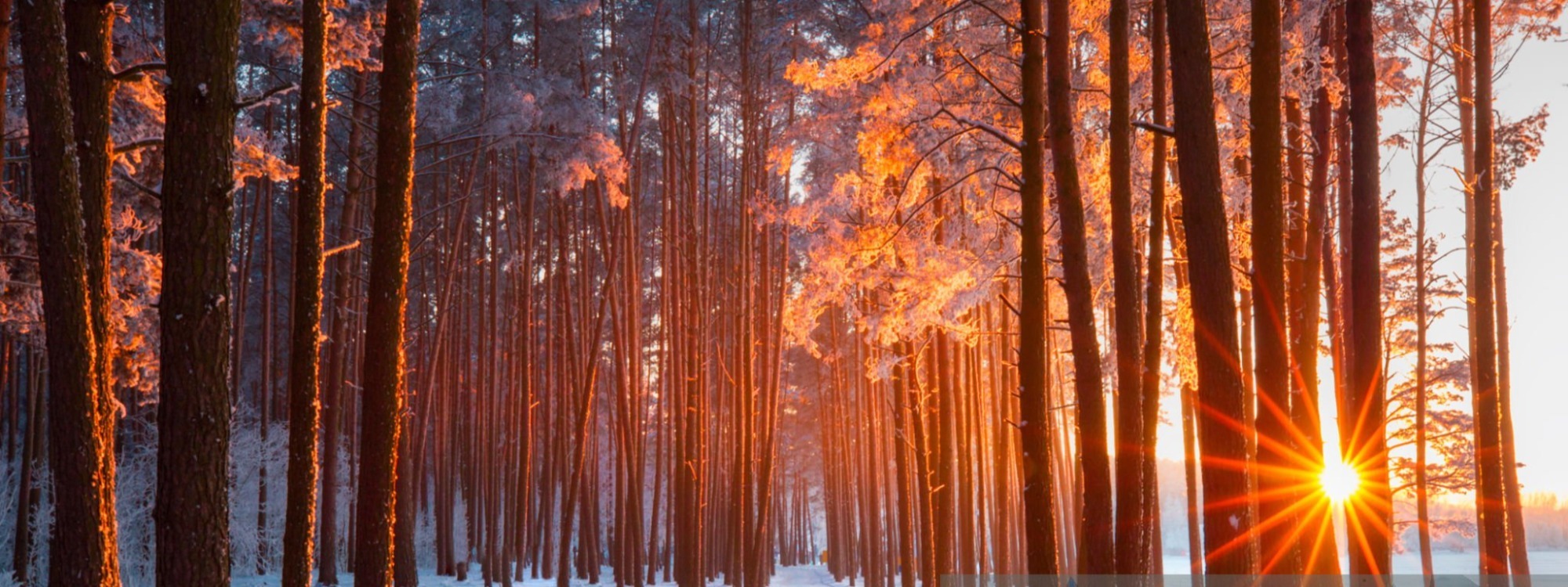 And whatever you ask in prayer, you will receive*Matthew 21:22*Prayer Diary