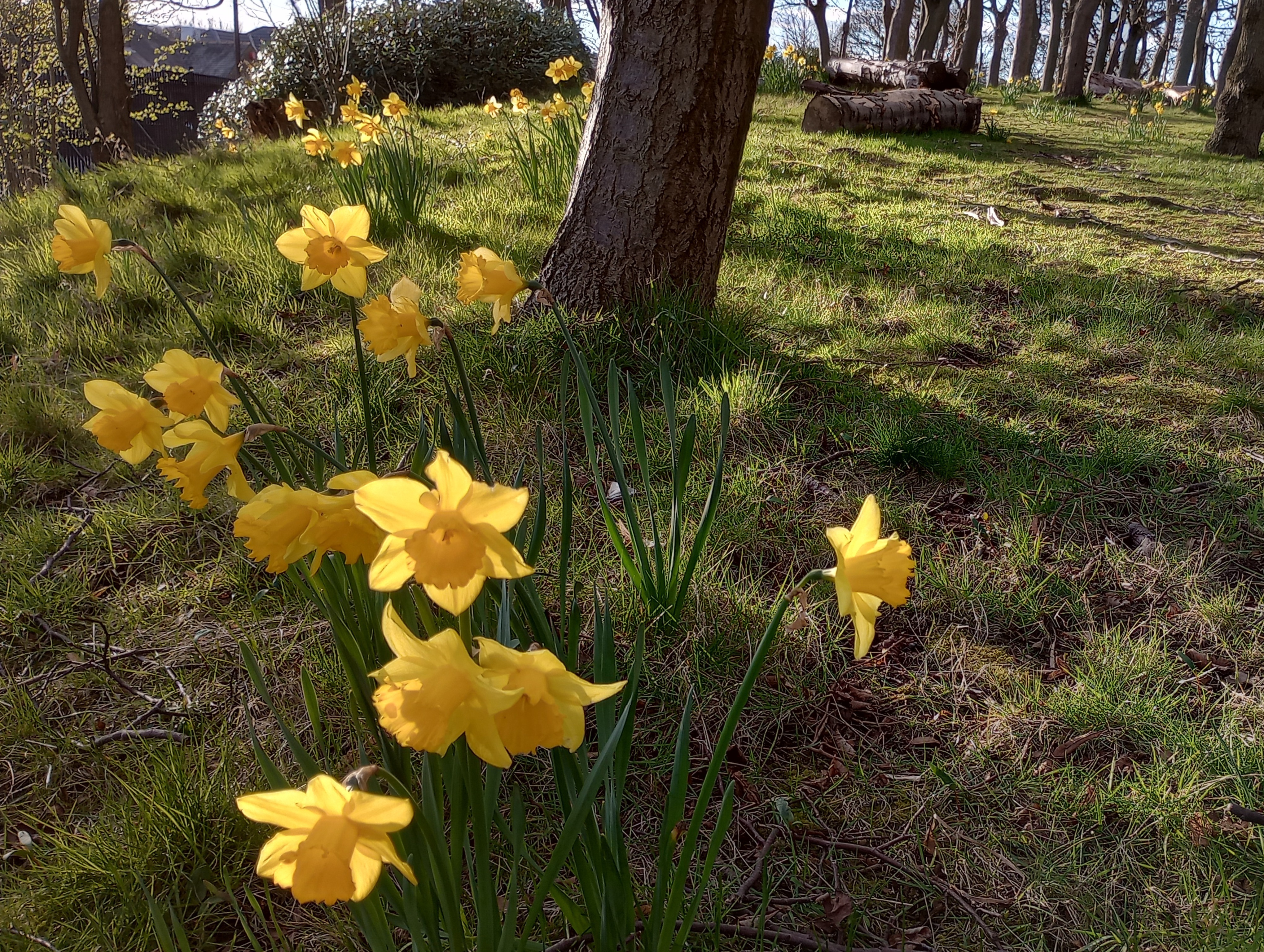 The steadfast love of the Lord never ceases. 
His mercy never comes to an end.
Its is new every morning.
Great is your faithfulness.