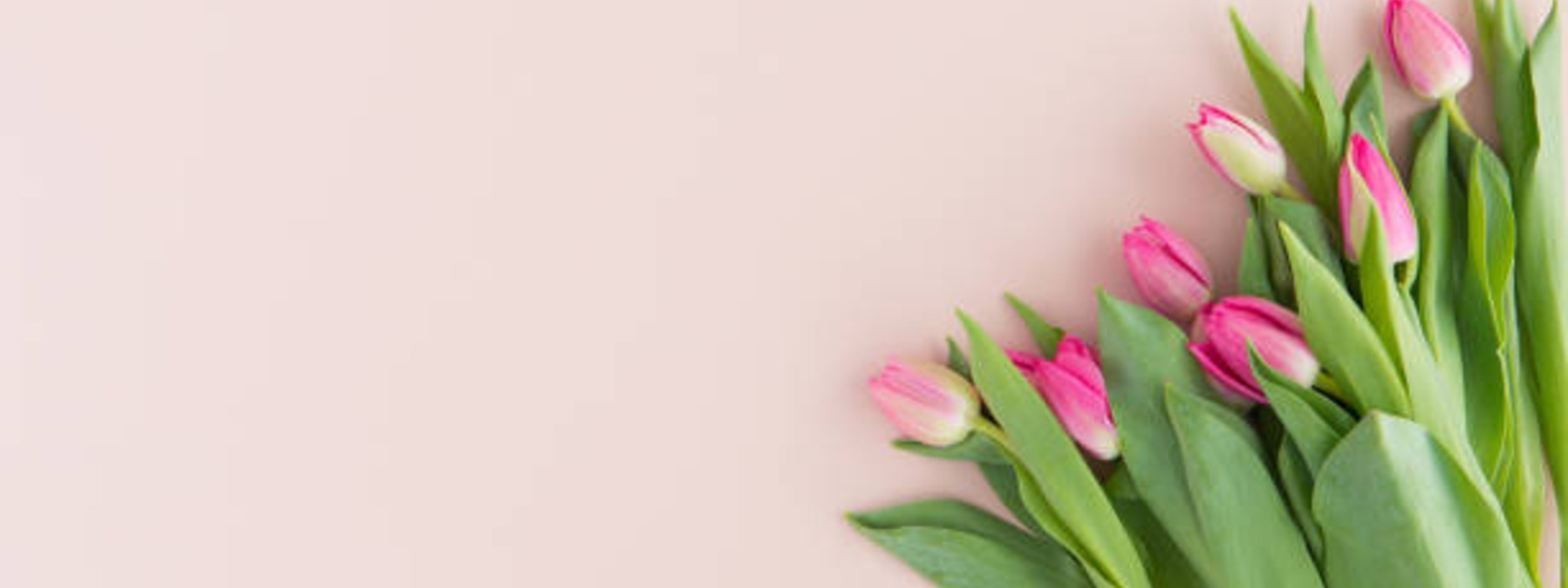 And whatever you ask in prayer, you will receive*Matthew 21:22*Prayer Diary