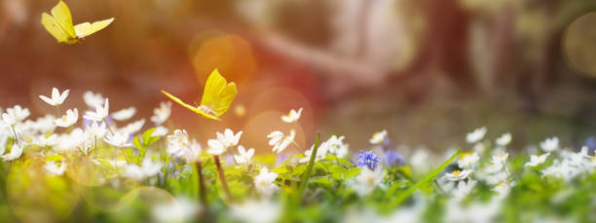 And whatever you ask in prayer, you will receive*Matthew 21:22*Prayer Diary